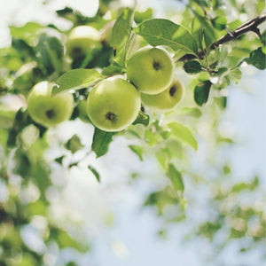 BIO Apple Face Cleansing Gel, 150ml - Jeanne en Provence